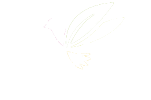 Jardín Botánico